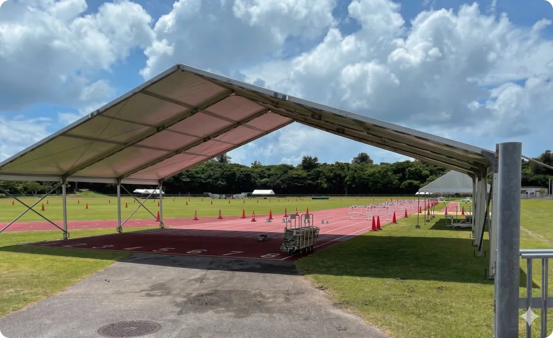 全国中学校体育大会