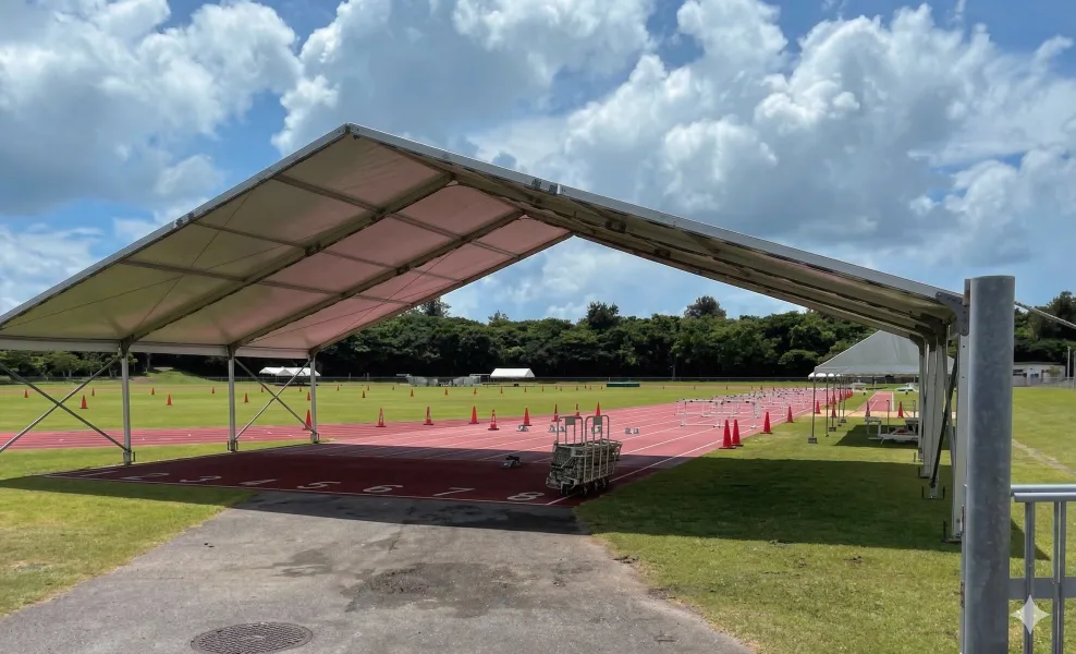 全国中学校体育大会